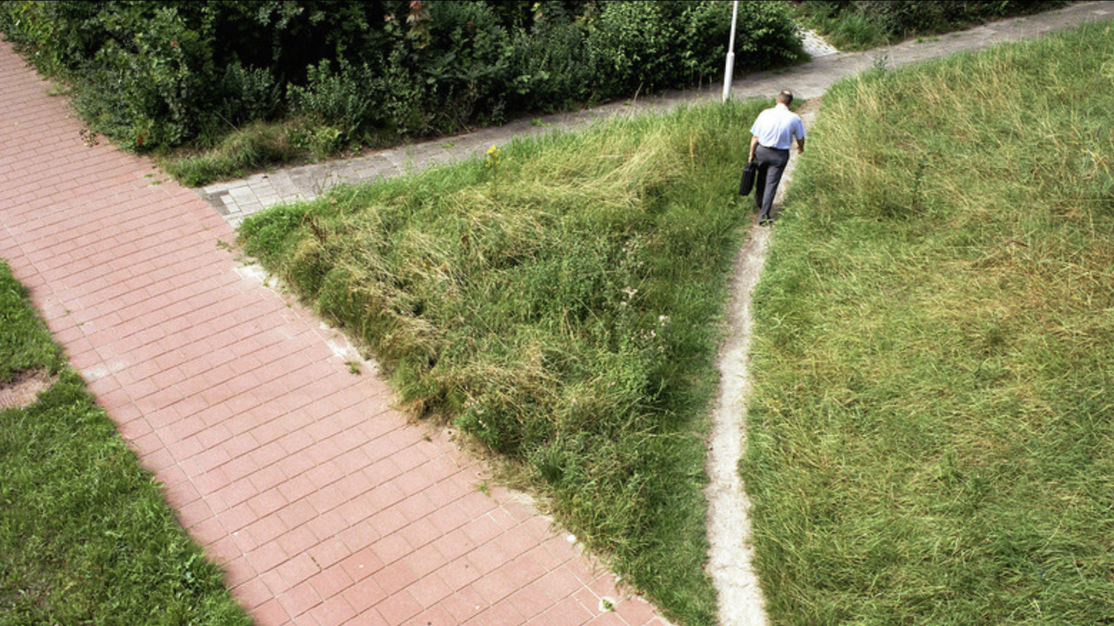 Семинар 1: графический дизайн и айдентика